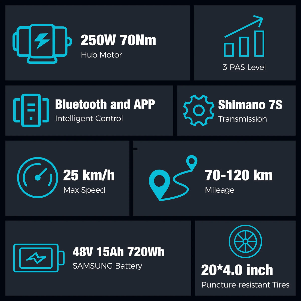 BK10S PRO Folding Electric Bike